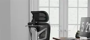 Office Chairs; Executive Office Orthopedic Chairs