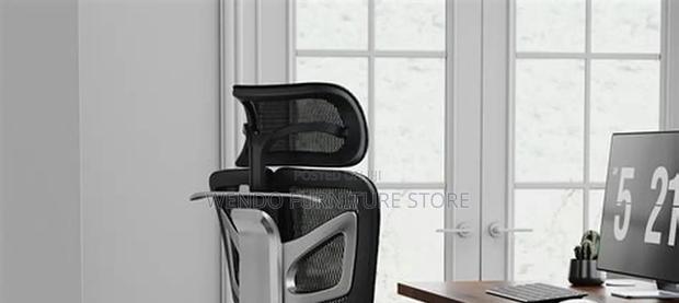 Office Chairs; Executive Office Orthopedic Chairs - thumbnail 4