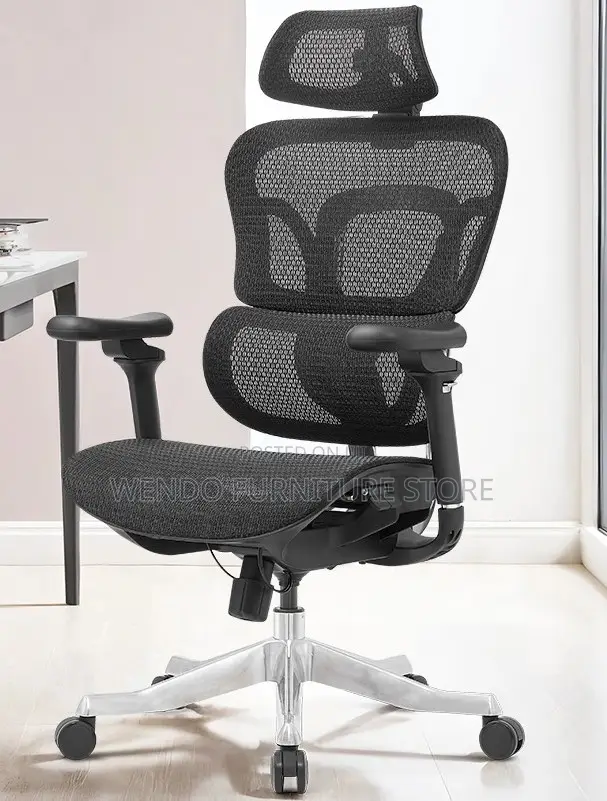Office Chairs; Executive Office Orthopedic Chairs
