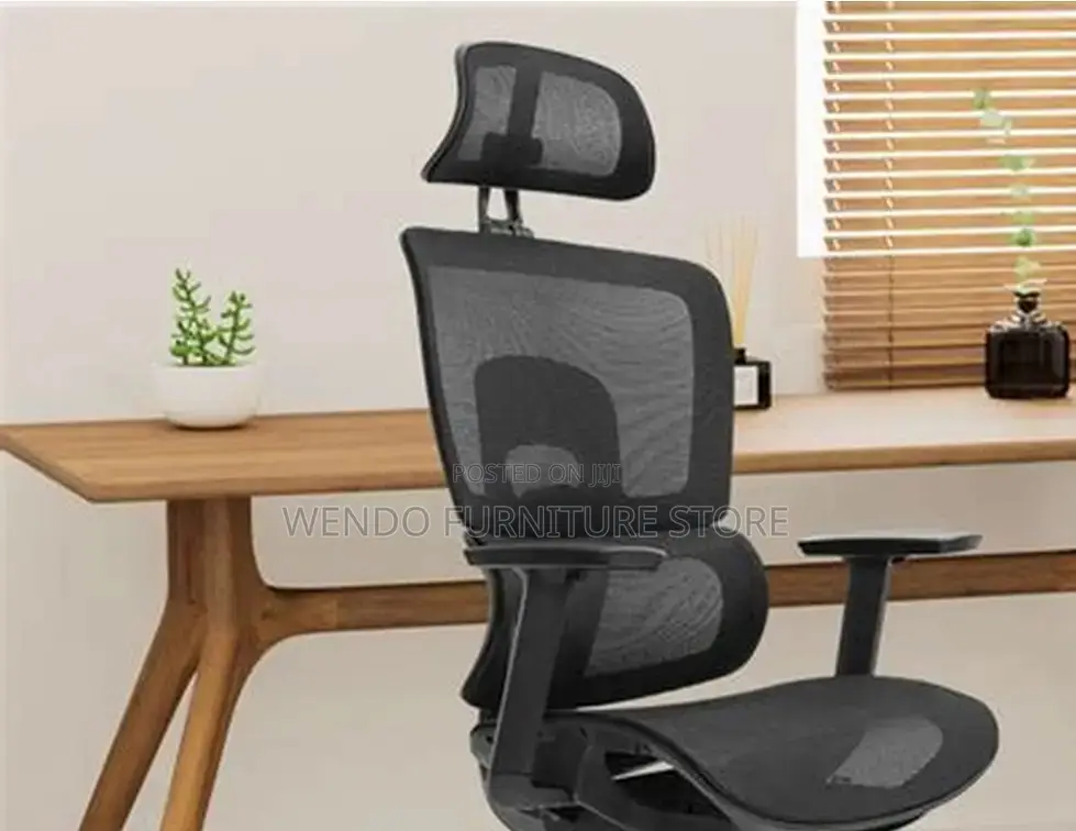 Office Chairs; Executive Office Orthopedic Chairs