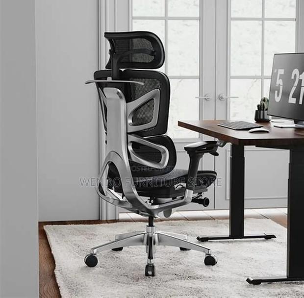 Office Chairs; Executive Office Orthopedic Chairs - thumbnail 10