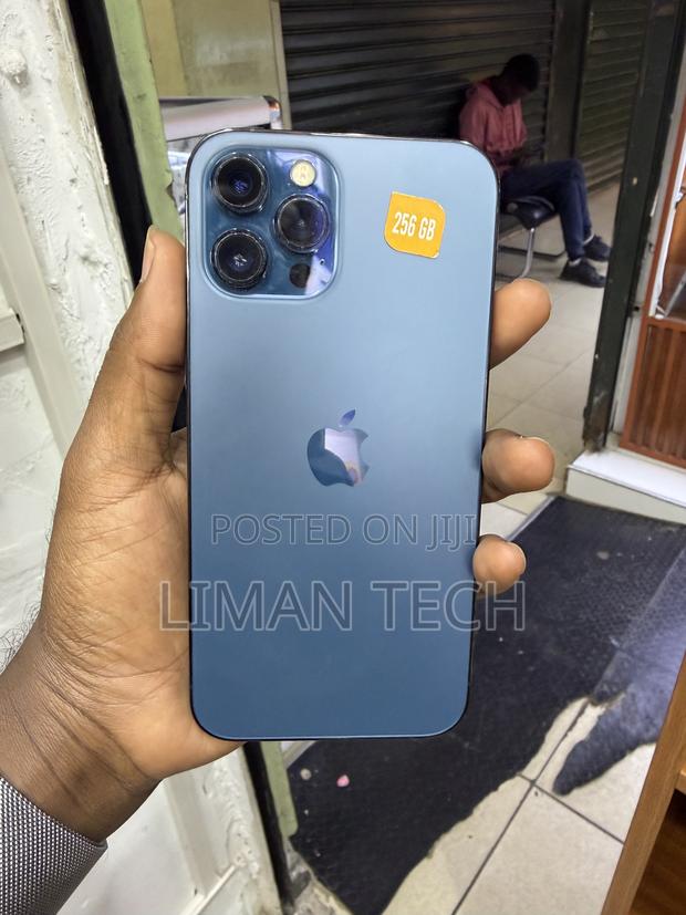 Apple iPhone 12 Pro Max 256 GB Blue - thumbnail 2