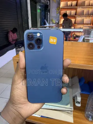 Apple iPhone 12 Pro Max 256 GB Blue