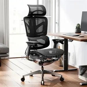 Office Chair : L19 Black High-Back Mesh Ergonomic Office Chair