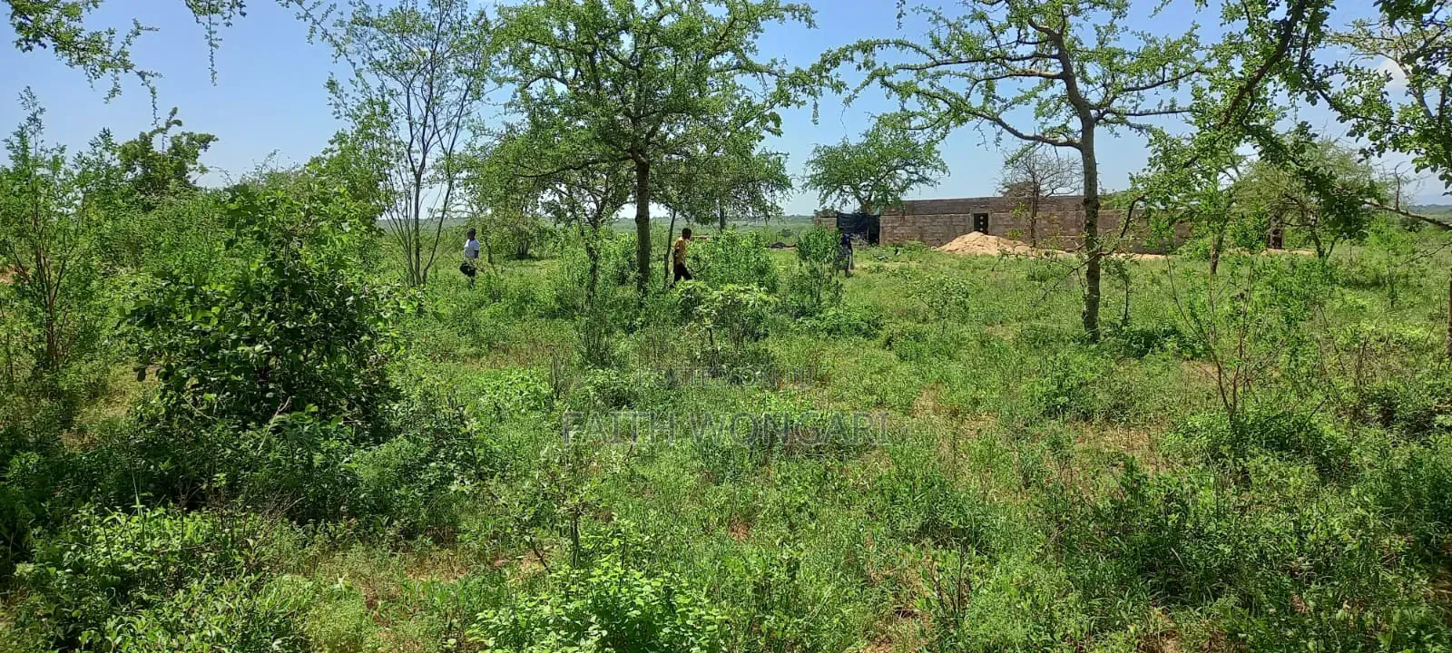 50 by 100 Plot in Matuu With Ready Title Deed