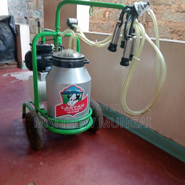 Lasyab Single Barrel Milking Machine Made in Turkey