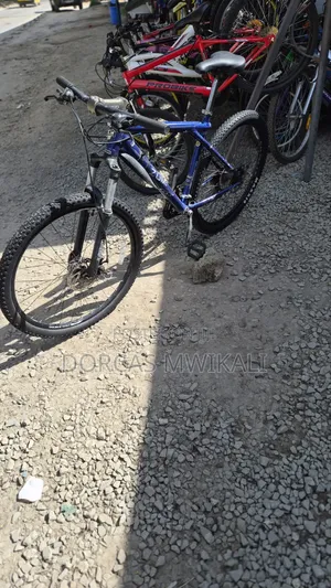 Gt Mountain Bike