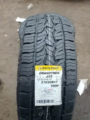 215/60r17 Dunlop