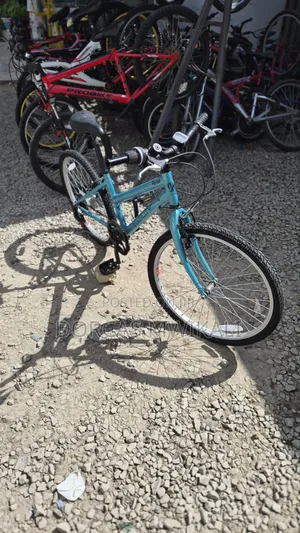 Pazzaz Vivacity Hybrid/Mountain Bike