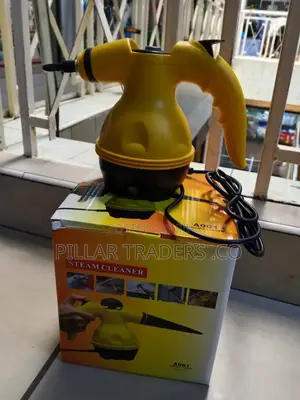 Portable High Pressure Steam Cleaner