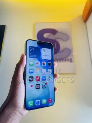 Apple iPhone 15 Pro Max 256 GB Gray