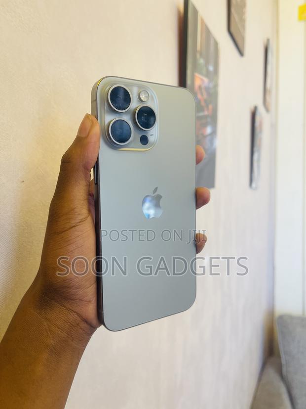 Apple iPhone 15 Pro Max 256 GB Gray