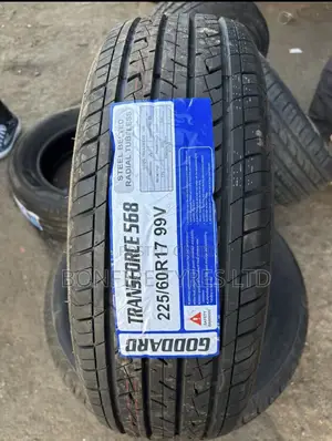 225/60r17 Goddard