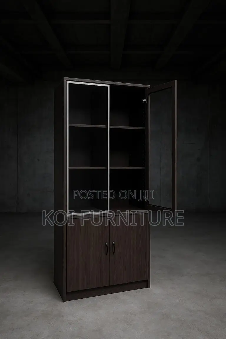 Office Cabinet : 2-Door Modern Executive Office Cabinet