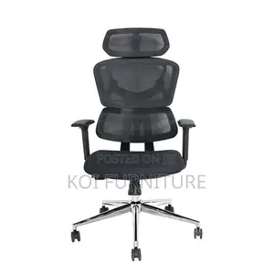 Office Chair : Ergonomic High-Back Orthopedic Mesh Office Chair
