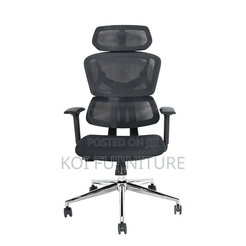 Office Chair : Ergonomic High-Back Orthopedic Mesh Office Chair