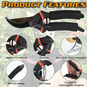 Quality Plastic Handle Prunning Sheers