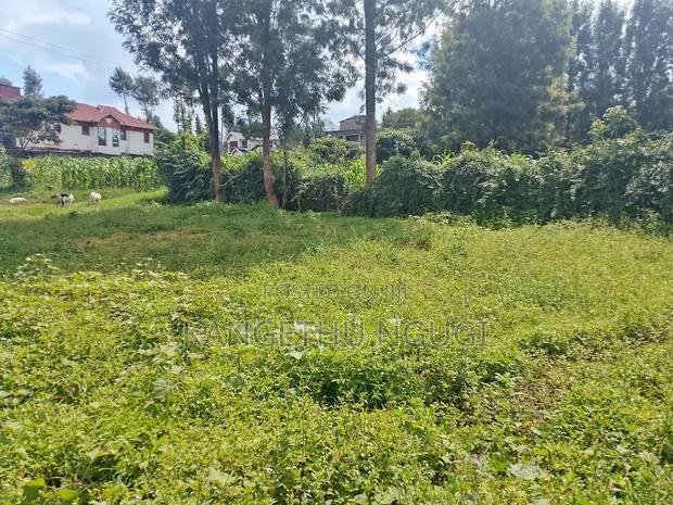 100x100 Residential Plot at Kasphat Estate - thumbnail 2