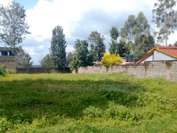 100x100 Residential Plot at Kasphat Estate - thumbnail 4