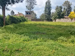 100x100 Residential Plot at Kasphat Estate
