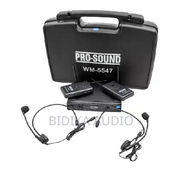 New Pro-Sound Wm5547 Dual Wireless Lapel Microphones