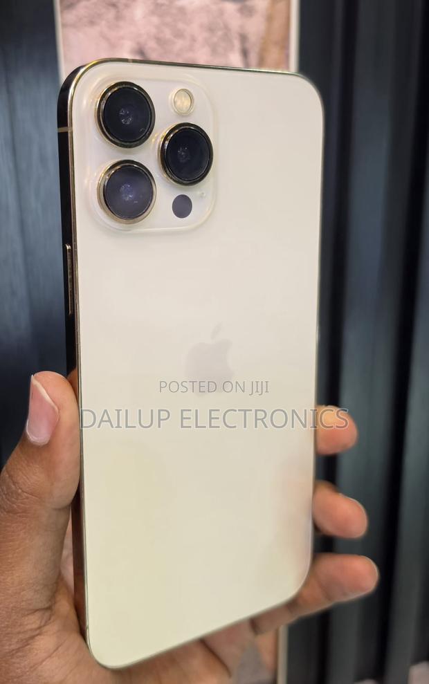 Apple iPhone 13 Pro Max 256 GB Gold