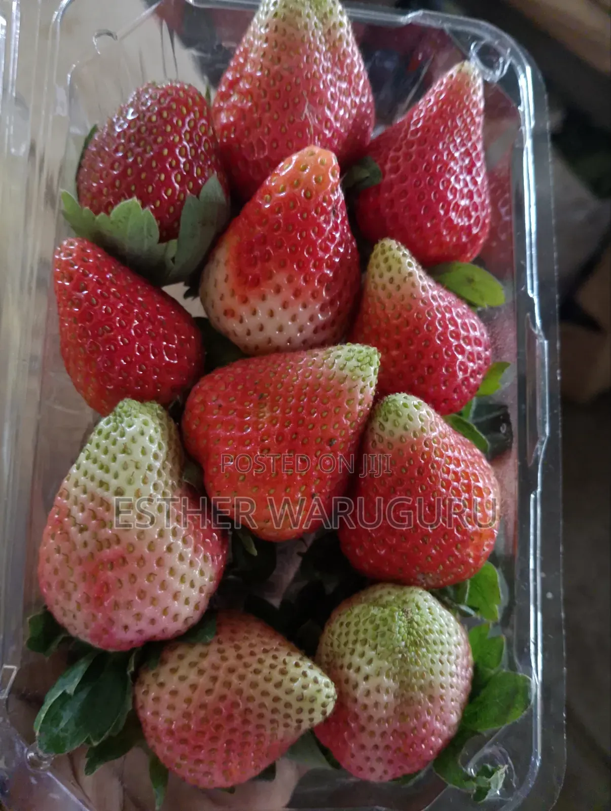 All Berries