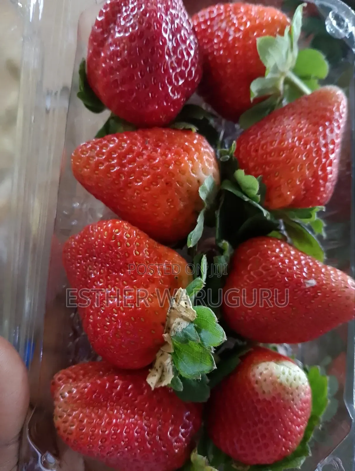 All Berries