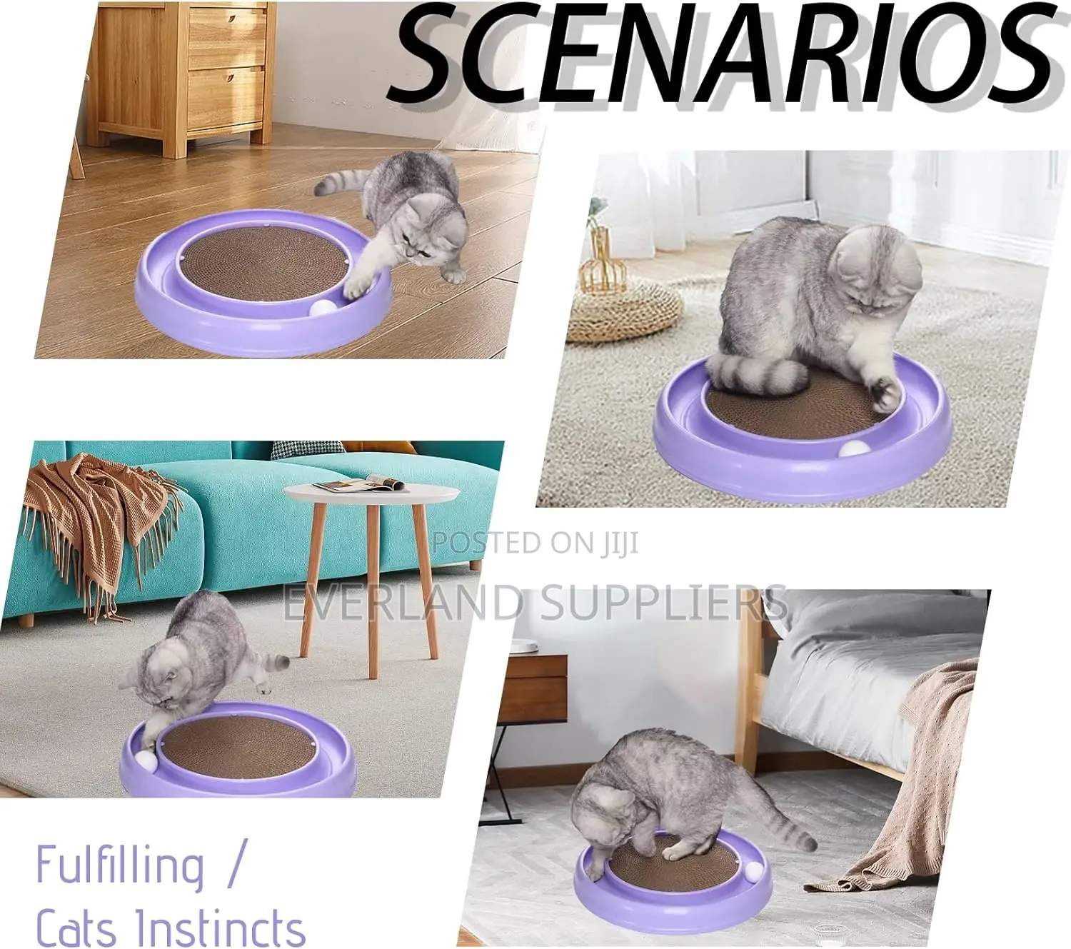 Cat Toy Scratcher