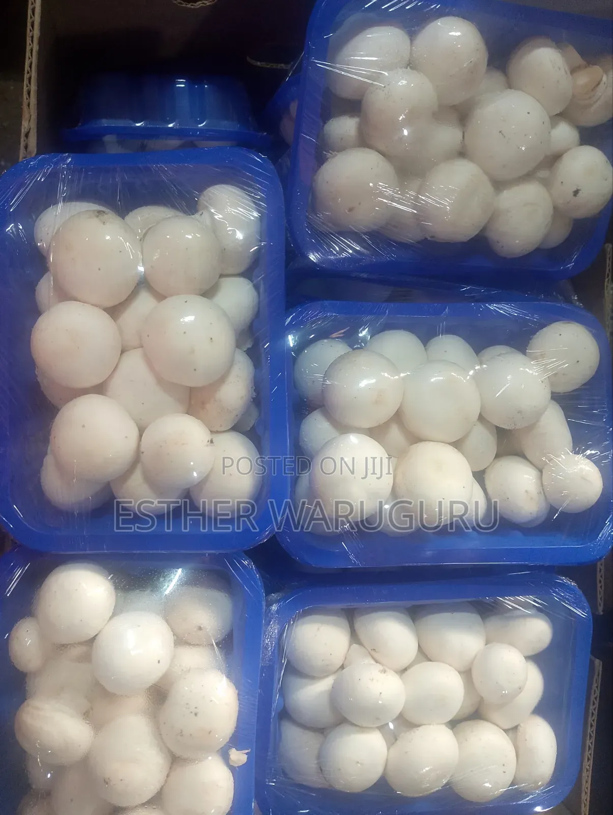 White Button Mushrooms