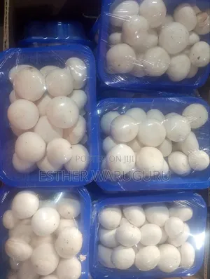 White Button Mushrooms