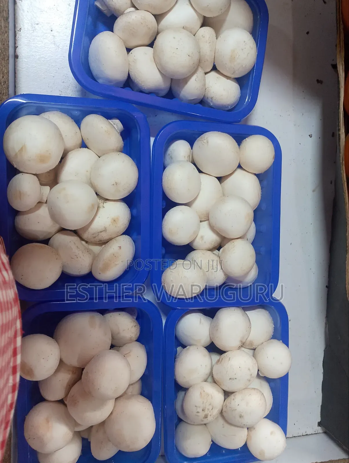 White Button Mushrooms