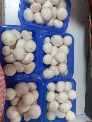 White Button Mushrooms