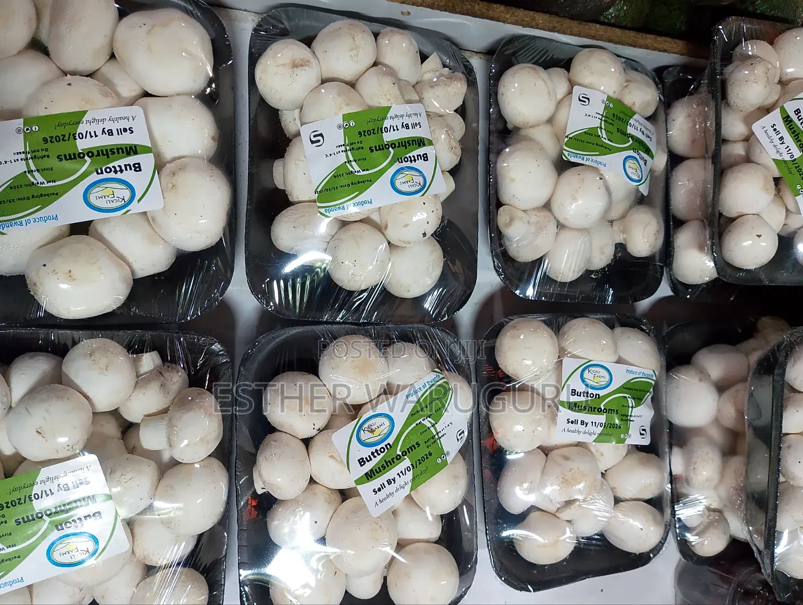 White Button Mushrooms