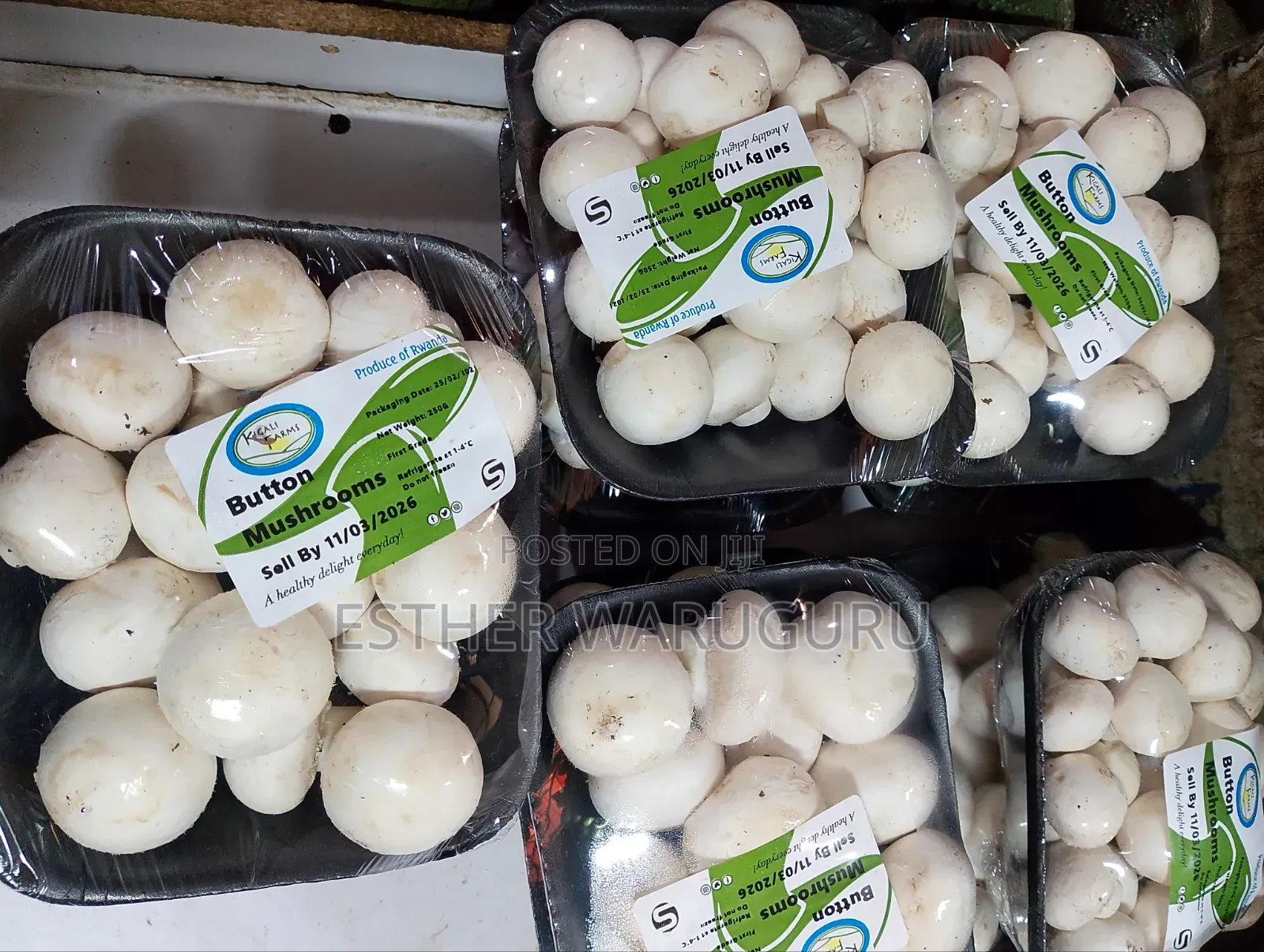 White Button Mushrooms