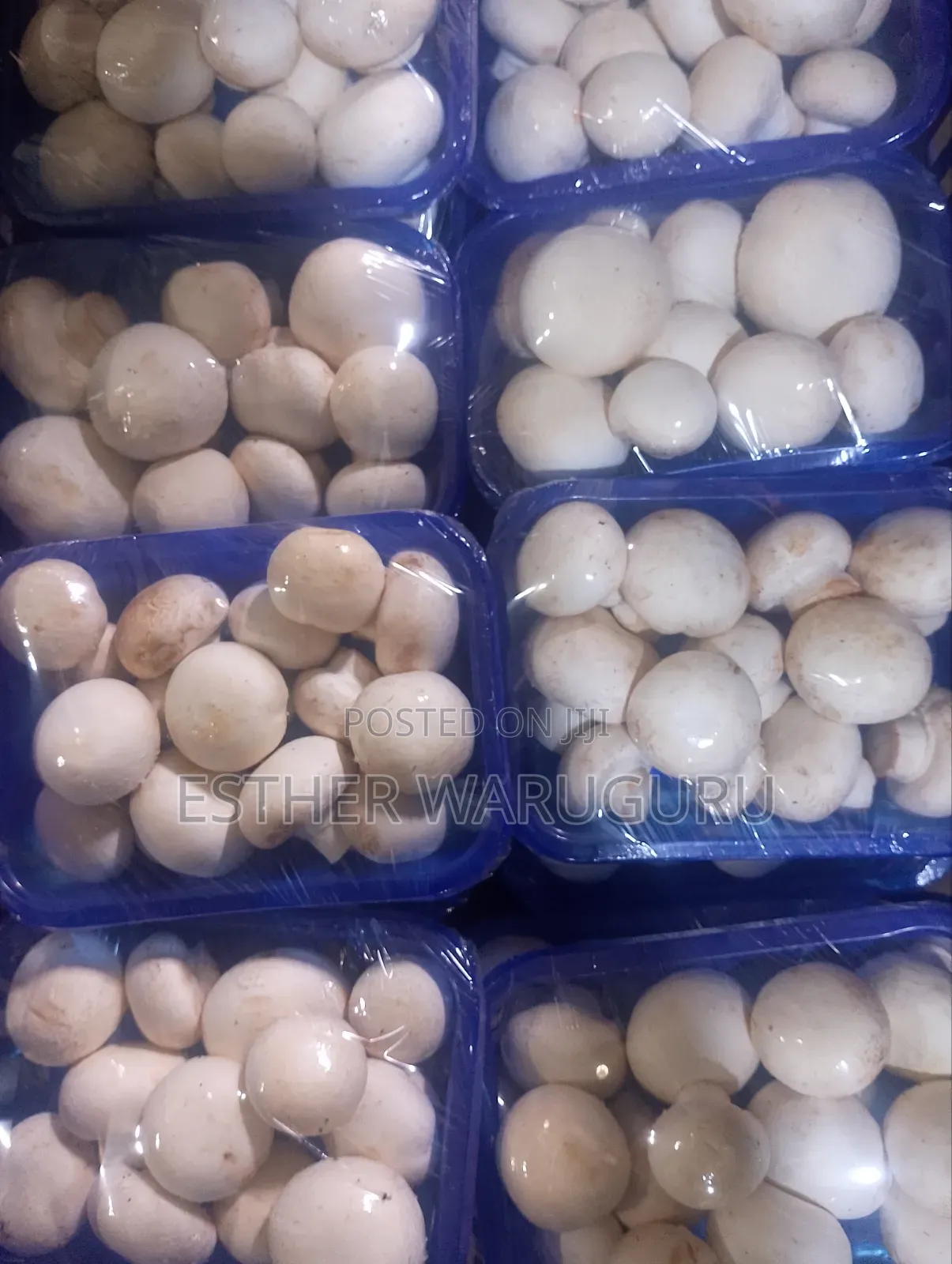White Button Mushrooms