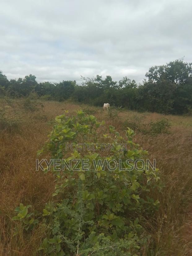 Land for Sale - thumbnail 2