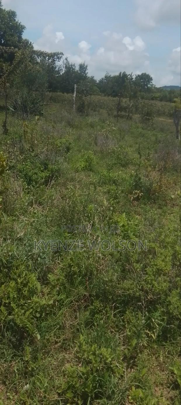 Land for Sale - thumbnail 3