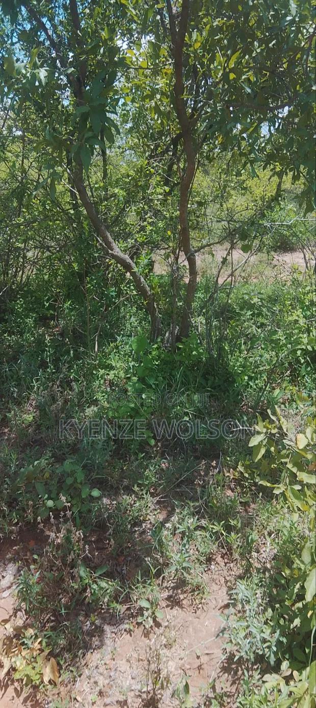 Land for Sale - thumbnail 4