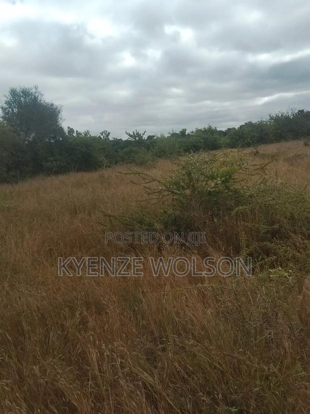 Land for Sale - thumbnail 3