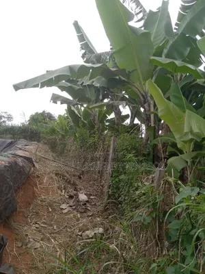 5 Acres Property for Sale in Embu.