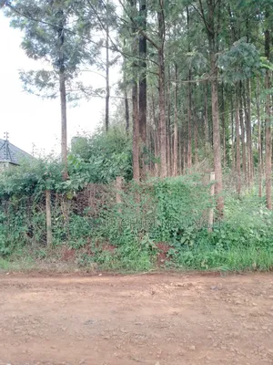 Kitusuru Land Sale