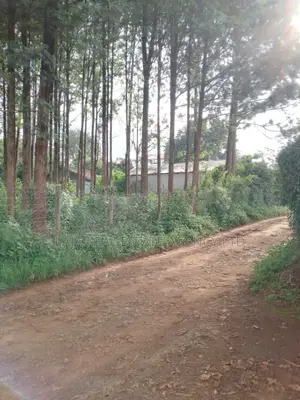 Kitusuru Land Sale