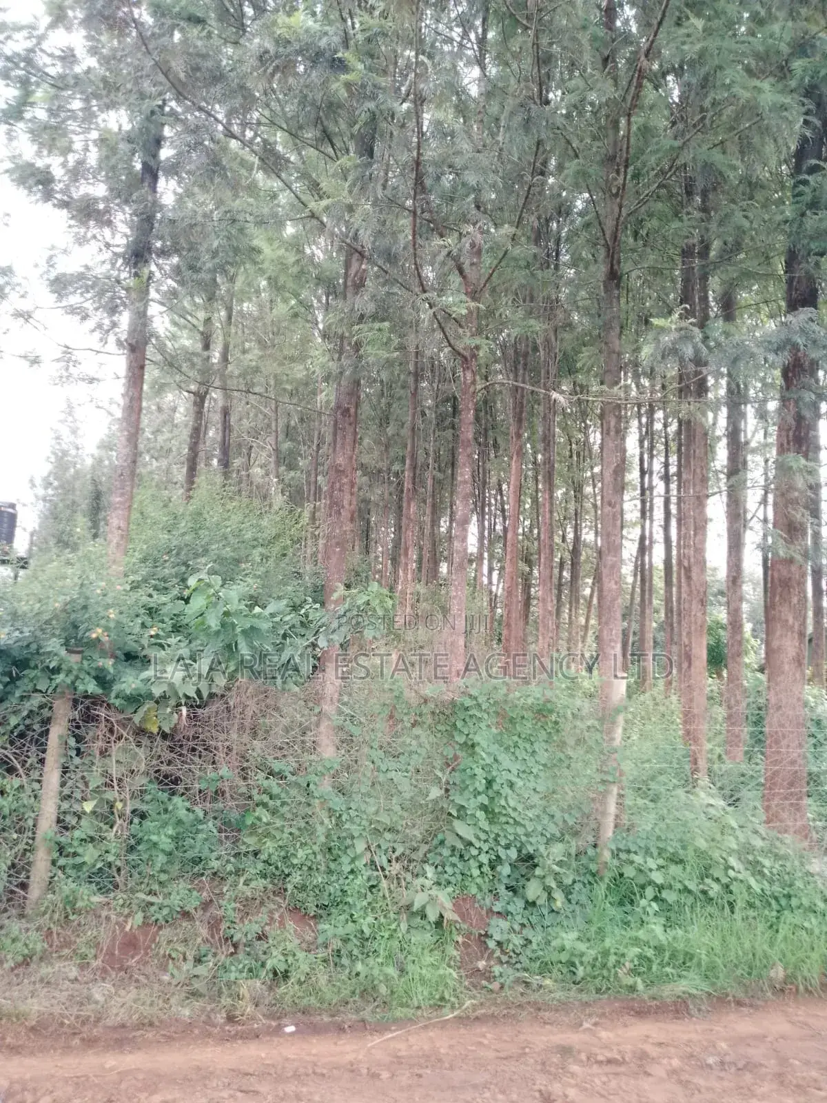 Kitusuru Land Sale