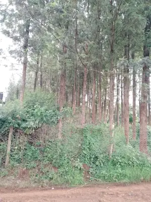 Kitusuru Land Sale