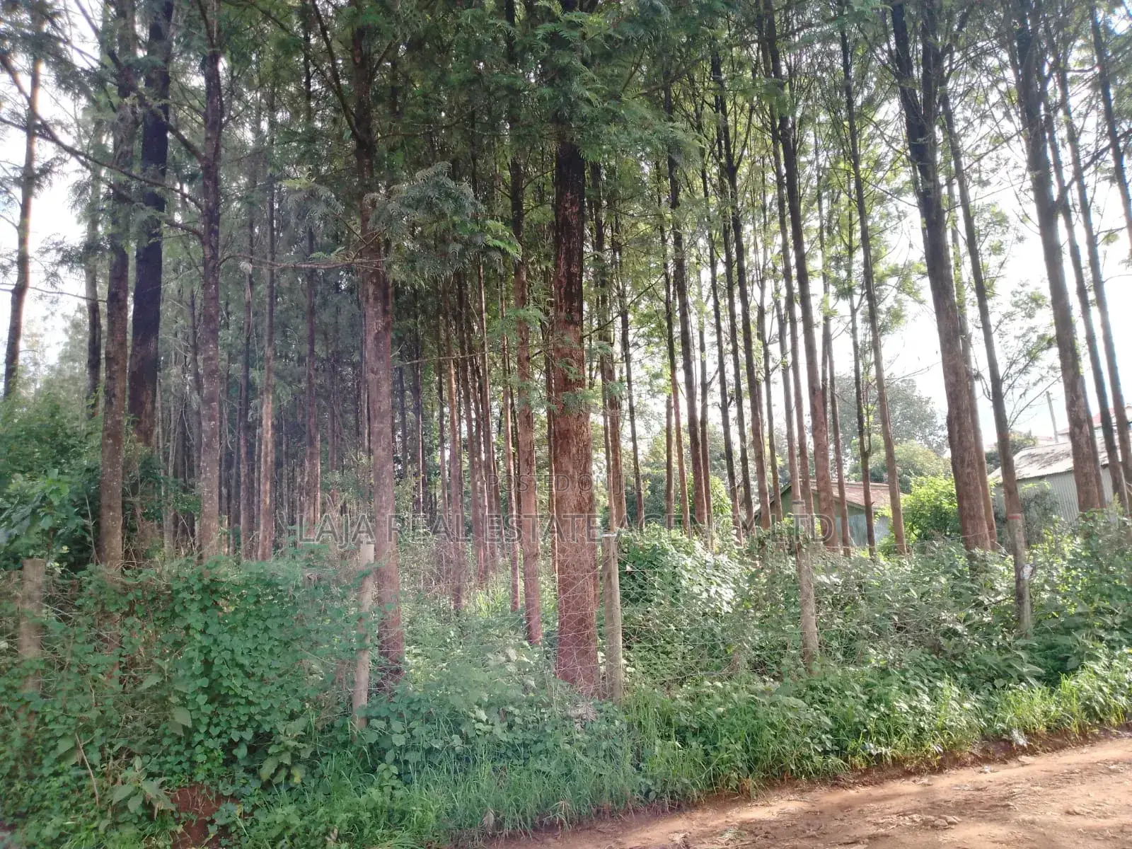 Kitusuru Land Sale