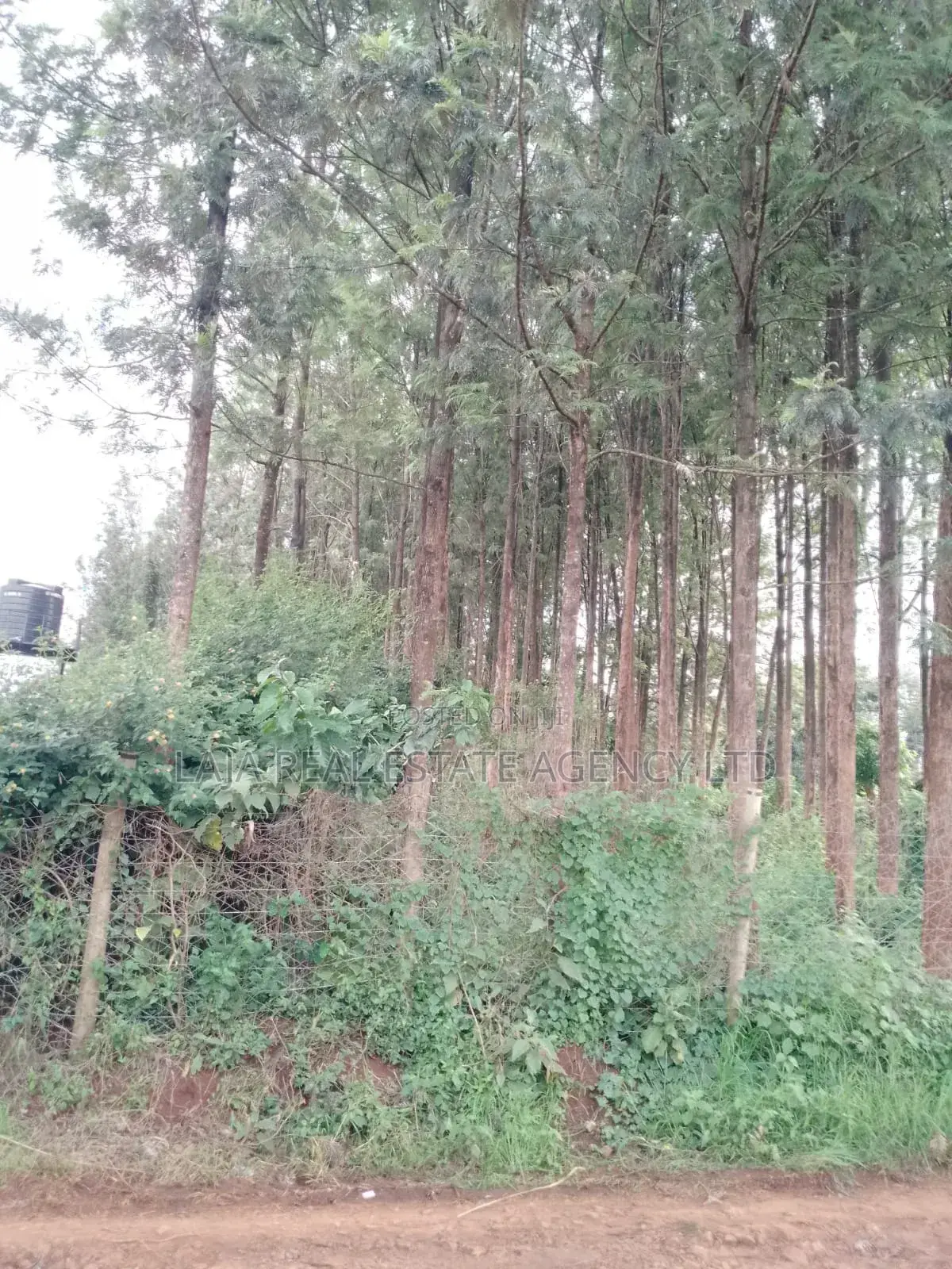 Kitusuru Land Sale