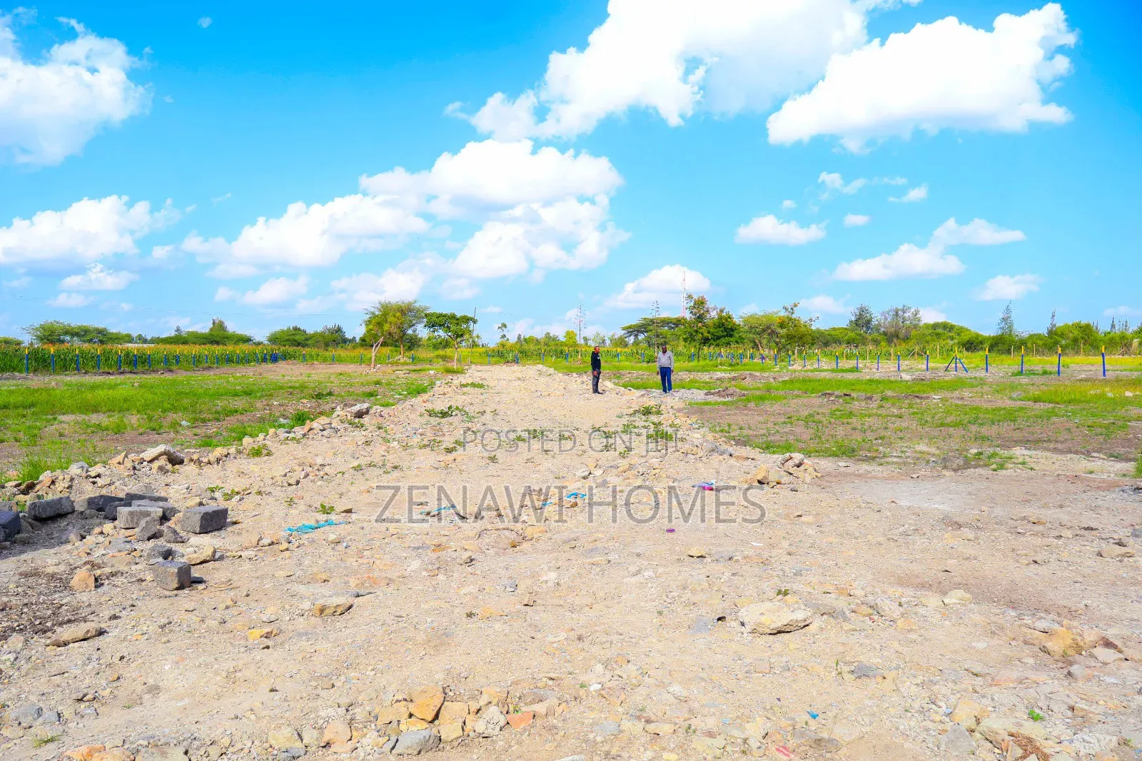 1⁄8th Plots for Sale . D.M