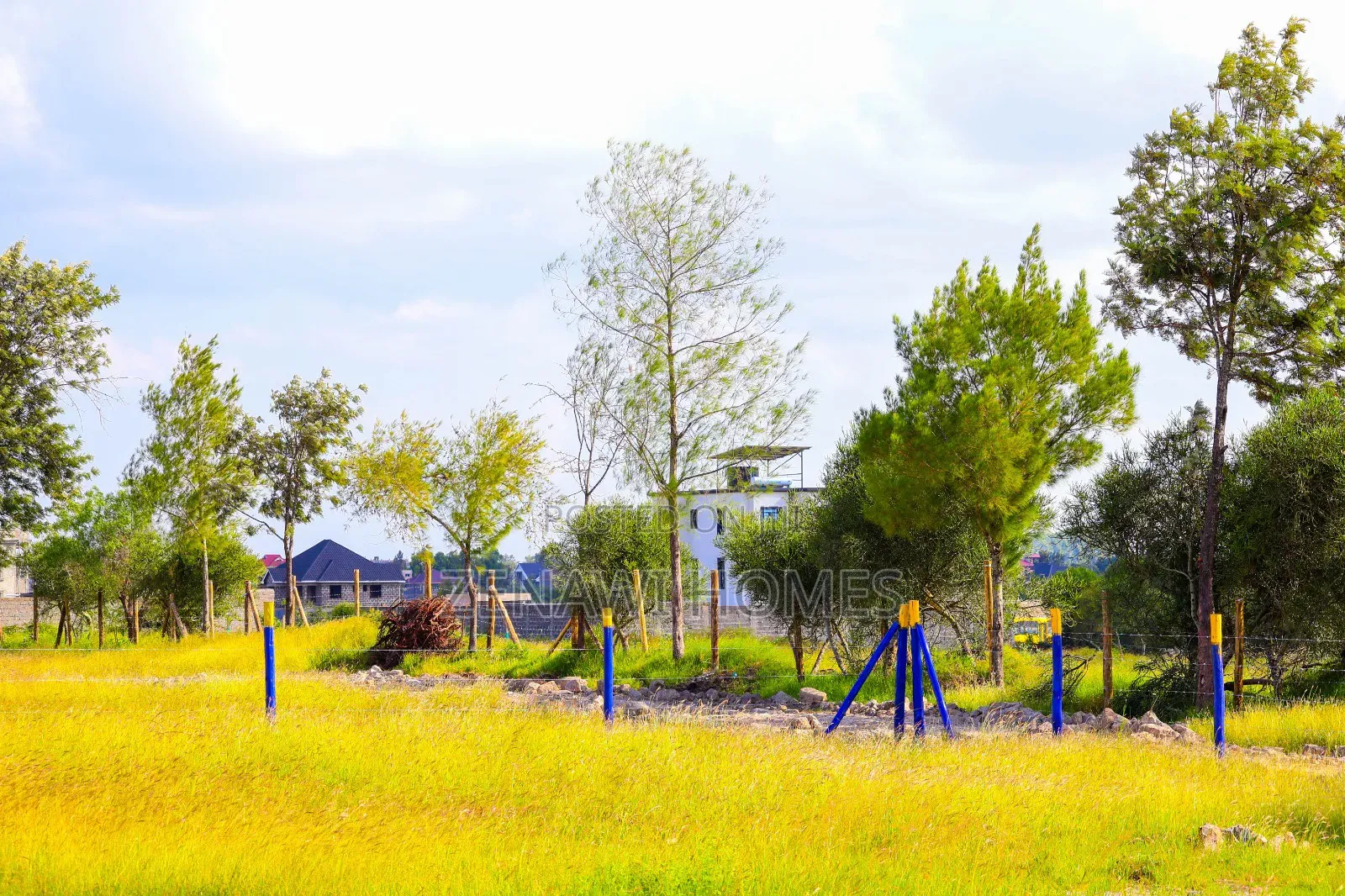 Buy and Build Plots on Sale