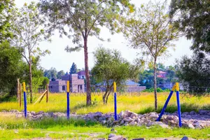 Buy and Build Plots on Sale